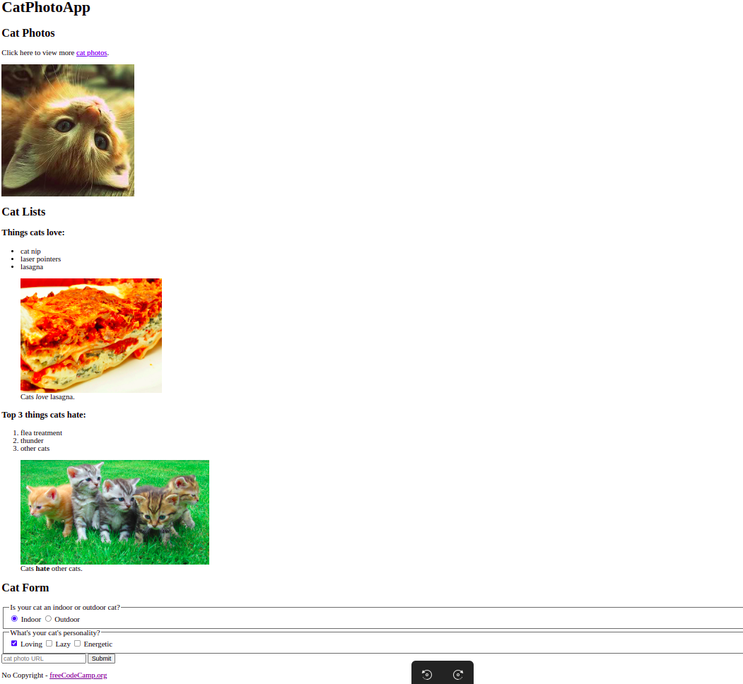 Learn HTML by Building a Cat Photo App